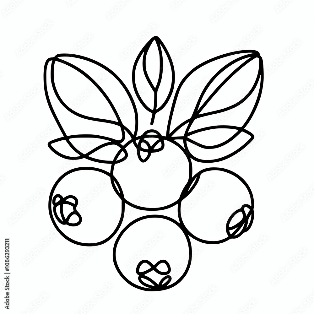 Line silhouette outline of blueberries vector illustration Line silhouette outline of blueberries vector illustration