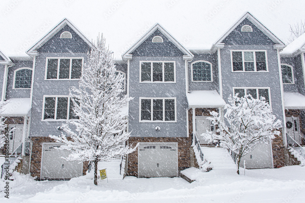 Naklejka premium houses in the snow