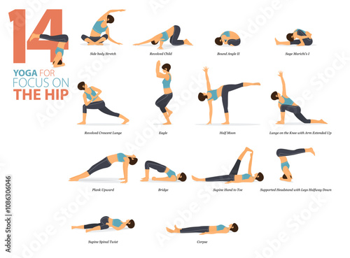 14 Yoga poses or asana posture for workout in focus on hip concept. Women exercising for body stretching. Fitness infographic. Flat cartoon vector.