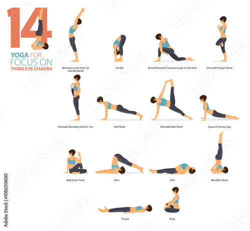 14 Yoga poses or asana posture for workout in third eye chakra concept. Women exercising for body stretching. Fitness infographic. Flat cartoon vector.