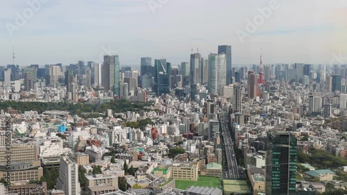 Panoramic view of metropolitan Tokyo