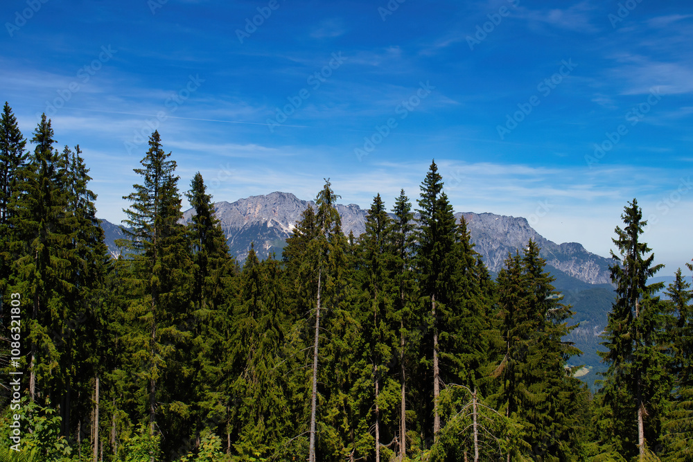 Fototapeta premium Mountains behind green trees on a spring day near the Eagle's Nest in Bavaria, Germany.