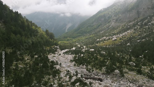 Wallpaper Mural Lush valley in Albania’s Valbona region with rocky terrain and dense forest captured from above Torontodigital.ca