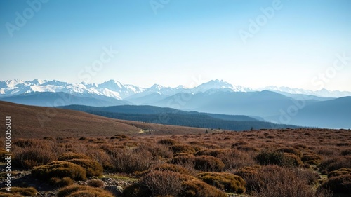 heathland landscape with snow-capped mountains in the background, heathland, mountains, peaceful surroundings
