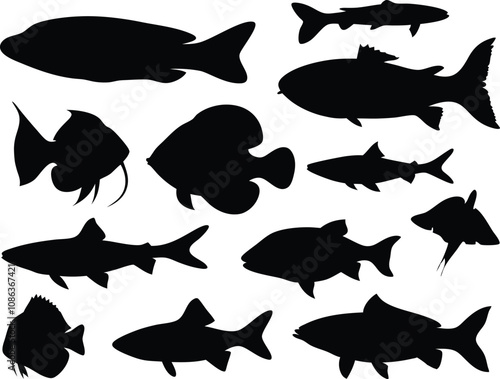 Different types of fish silhouettes suitable for design and educational projects