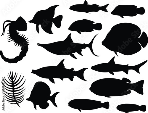 Silhouettes of marine animals like fish and seahorse on white background