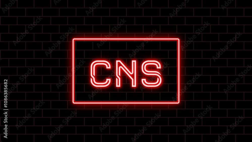 CNS のネオン文字 CNS のネオン文字