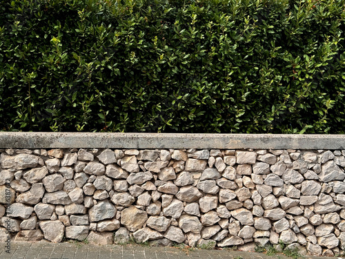 old handmade stone wall with green leaves background