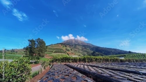 Timelapse of farm field with blue sky under mount sumbing, central java indonesia. 4k quality footage