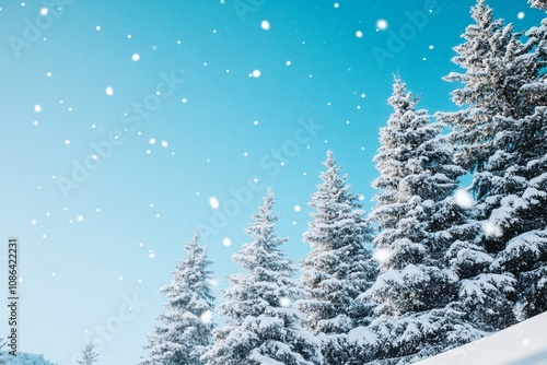 Winter nature background with frozen fir trees covered snow and ice in sunny mourning. Hoarfrost, closeup frosty trees. Christmas morning