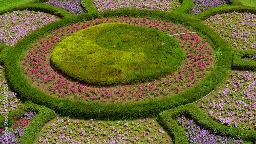 Cianjur, West Java Indonesia. August 24, 2024. The atmosphere of the Flower Garden tourist attraction in Sukaresmi Cianjur (Taman Bunga) photo