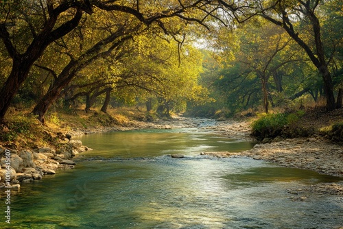 Tranquil River Flowing Through a Dense Forest Canopy