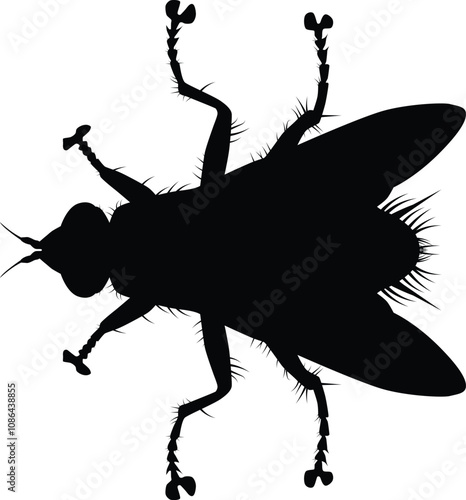 Fly silhouette illustration. Insect animal isolated on white.