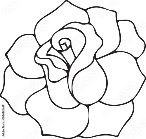 Hand drawn Rose outline illustration 02