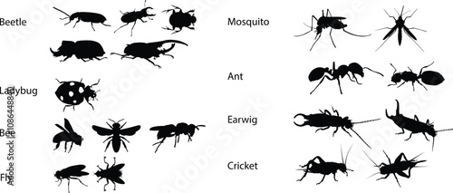 Hand drawn insects animal full body silhouette illustration