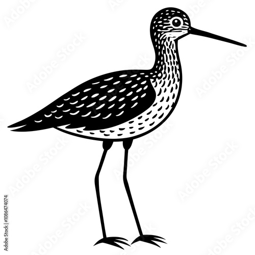 illustration of a yellowlegs bird