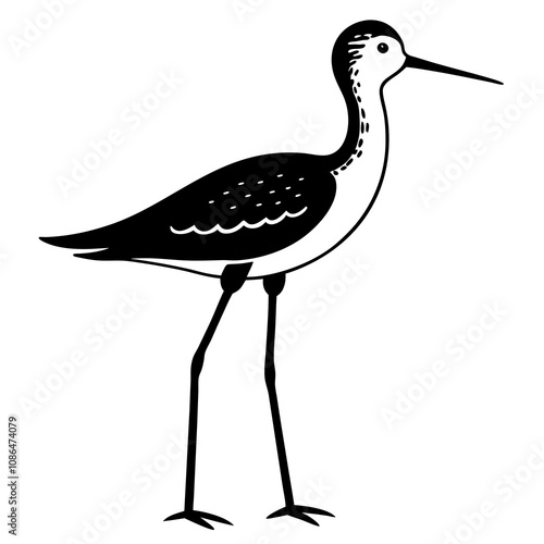 illustration of a yellowlegs