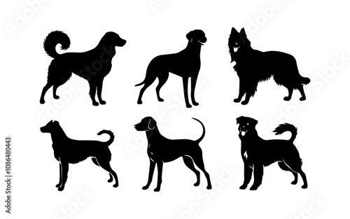 vector collection of dog animal silhouette illustrations