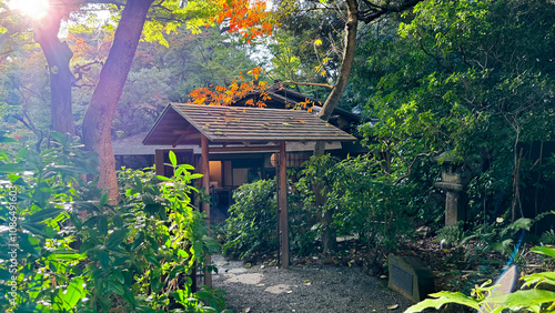 The beautiful views in Tokyo