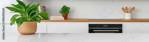 Open-plan kitchen with sleek integrated appliances, open shelving styled with plants and cookbooks, natural light highlighting glossy surfaces, warm and cool tones in harmony