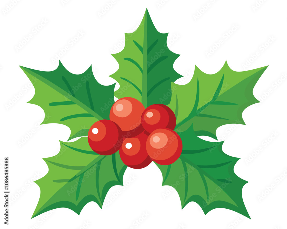 Christmas holly with red berries vector merry christmas leaves Christmas holly with red berries vector merry christmas leaves