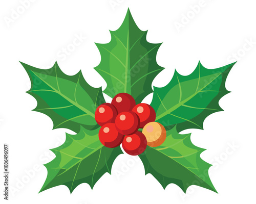 Christmas holly with red berries vector merry christmas leaves