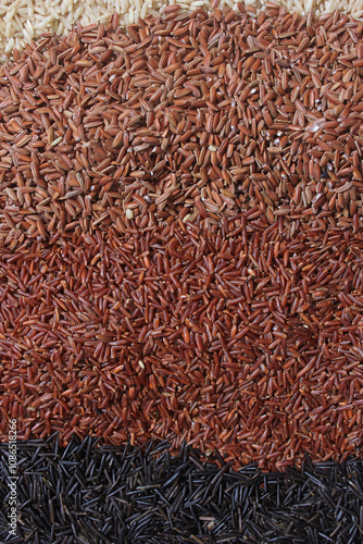 Different Rice Varieties in Rustic Kitchen.