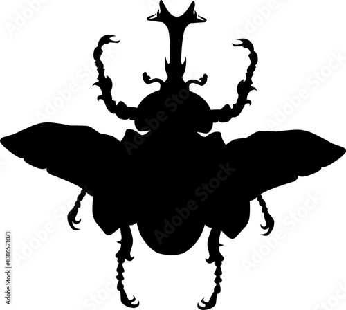 bettle vector art black and white