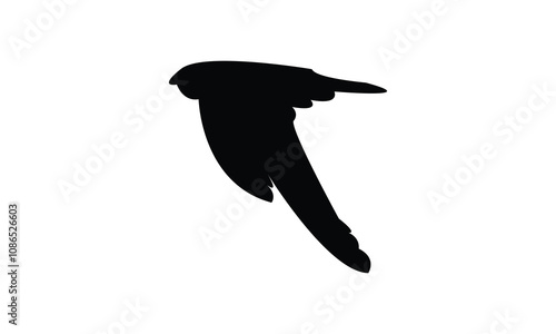 Flying Swiftlet Bird Silhouette Design  And Illustration.  photo