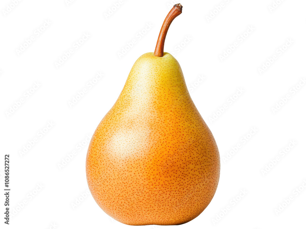 Fresh Pear with Elegant Shape and Color Variation Fresh Pear with Elegant Shape and Color Variation