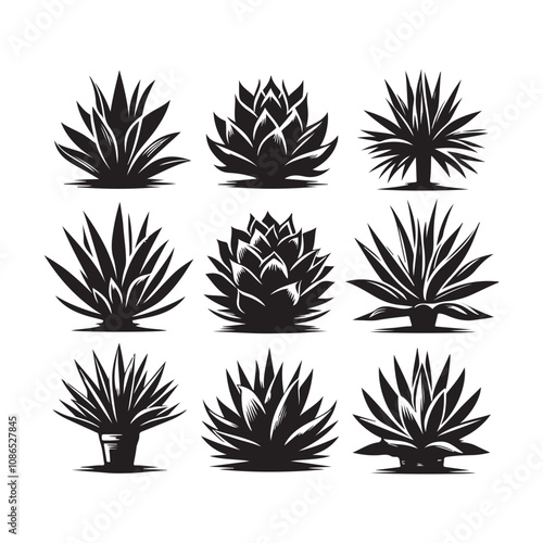 Agave silhouette vector. Agave plant vector icon silhouette illustration