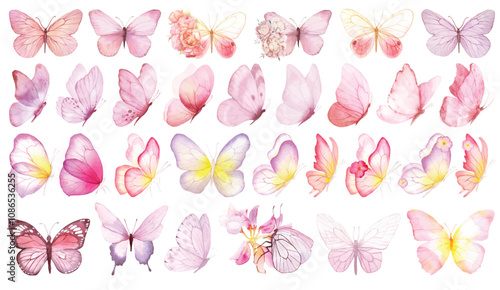 Butterfly collection. Watercolor illustration. Colorful butterflies clipart set. Baby shower design elements. Party invitation, birthday celebration. Spring, summer decor. Pink yellow red blue flowers