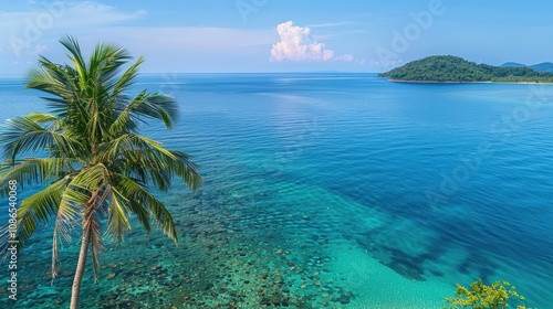 Serene Tropical Island View with Clear Blue Water