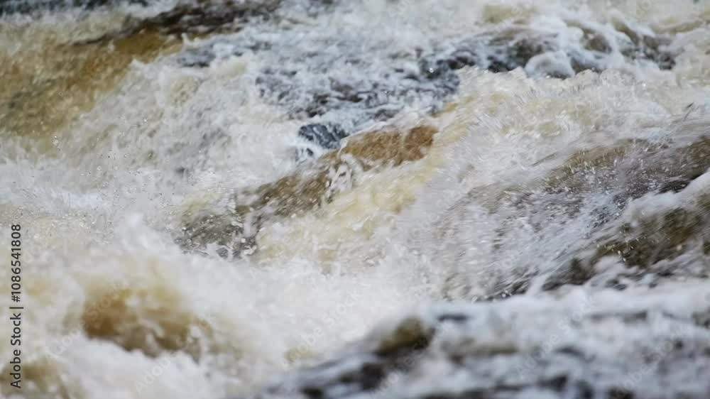 A salmon springs from the churning water, fighting its way up a steep, foaming waterfall as it glistens in the spray, showcasing its resilience on the journey upstream. A salmon springs from the churning water, fighting its way up a steep, foaming waterfall as it glistens in the spray, showcasing its resilience on the journey upstream.
