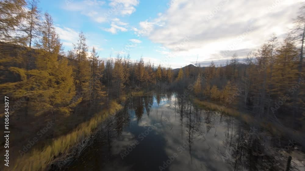 Witness the breathtaking autumn transformation in Yakutia, where golden larch trees frame a tranquil river. Nature's colors reflect on still waters, offering a peaceful escape from the ordinary. Witness the breathtaking autumn transformation in Yakutia, where golden larch trees frame a tranquil river. Nature's colors reflect on still waters, offering a peaceful escape from the ordinary.