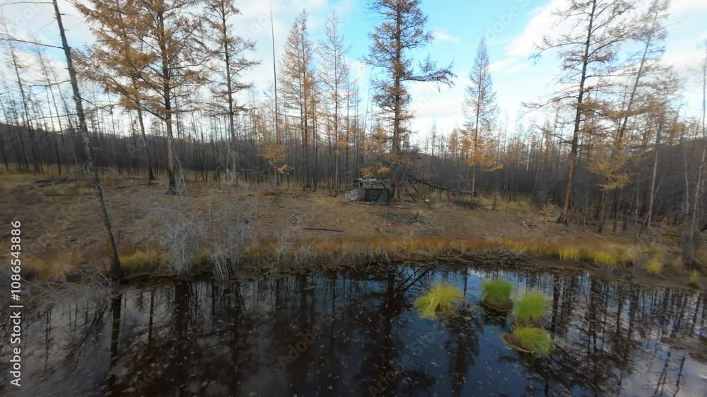 Witness the captivating scenery of Yakutia as a drone glides over the remains of a forest fire, revealing the resilience of nature. Witness the captivating scenery of Yakutia as a drone glides over the remains of a forest fire, revealing the resilience of nature.