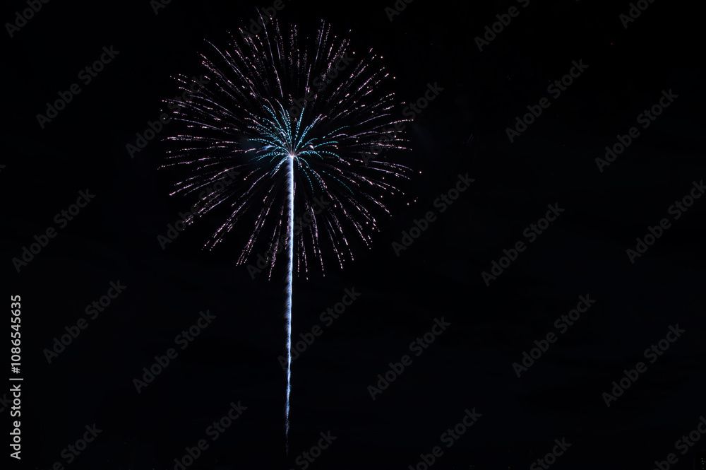 Fireworks in the night sky