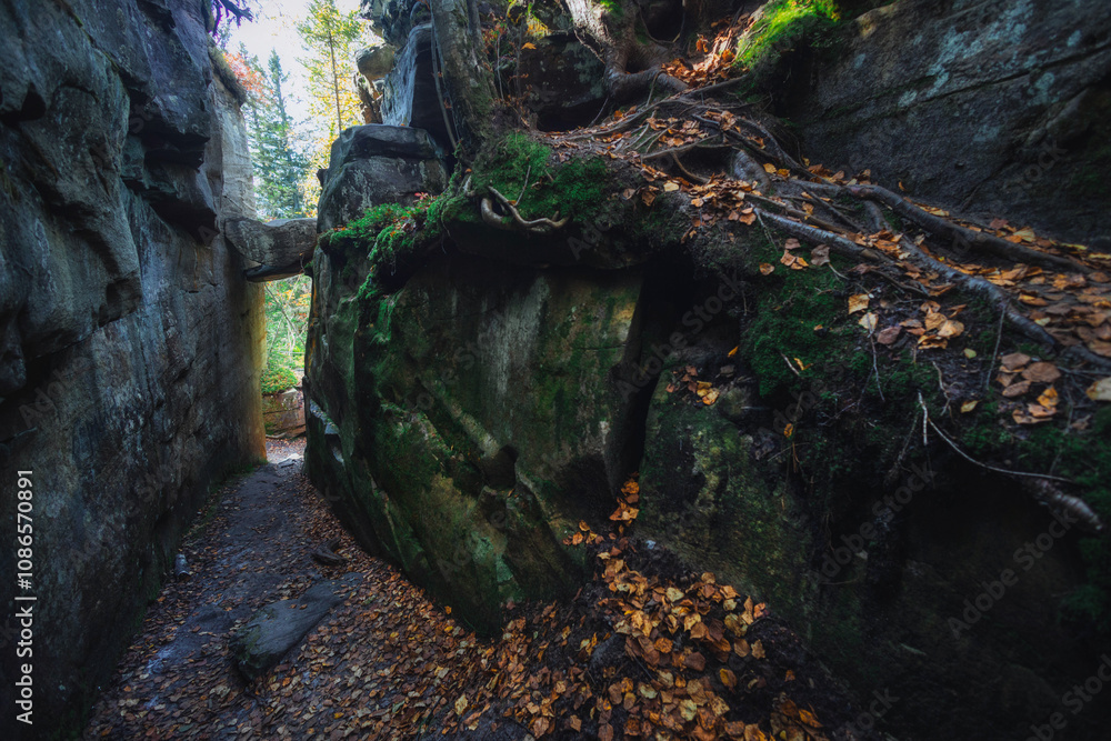 A winding canyon surrounded by towering rock walls and colorful autumn leaves, illuminated by soft sunlight filtering through the trees, invites exploration and adventure A winding canyon surrounded by towering rock walls and colorful autumn leaves, illuminated by soft sunlight filtering through the trees, invites exploration and adventure