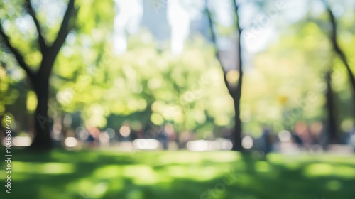 Fototapeta Naklejka Na Ścianę i Meble -  A sunny park scene filled with vibrant green trees and blurred city buildings in the background during the afternoon hours
