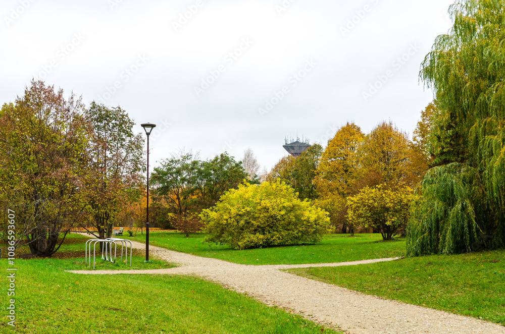 Obraz premium Autumn park path surrounded by colorful trees. A quiet dirt path winds through a park adorned with vibrant yellow and orange leaves. taken at eye level, the essence of fall in a serene natural setting
