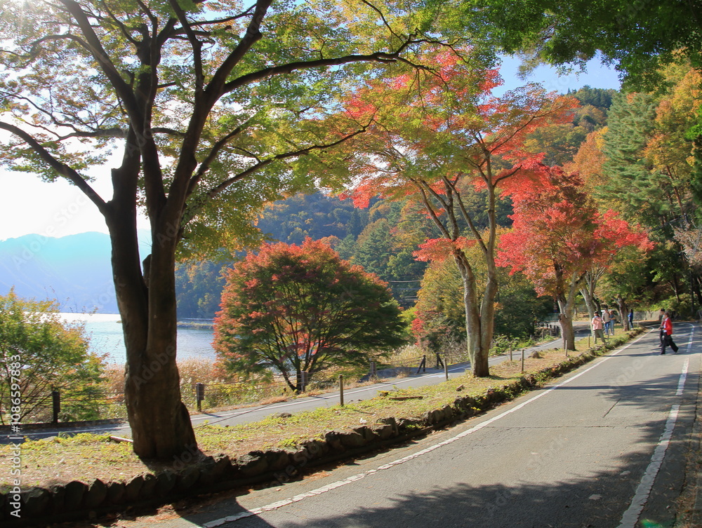 Naklejka premium The leaves will start changing color soon