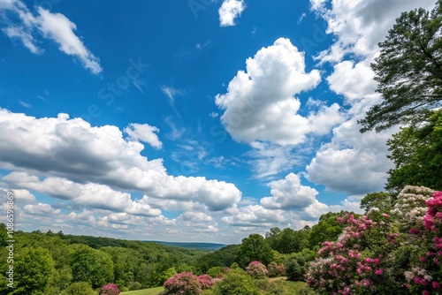 A bright blue sky filled with puffy white clouds against a backdrop of lush green trees and vibrant blooming flowers, flower, blossom