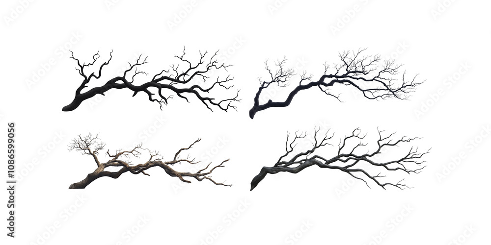 Obraz premium Set of giant dead branches with many branches white background