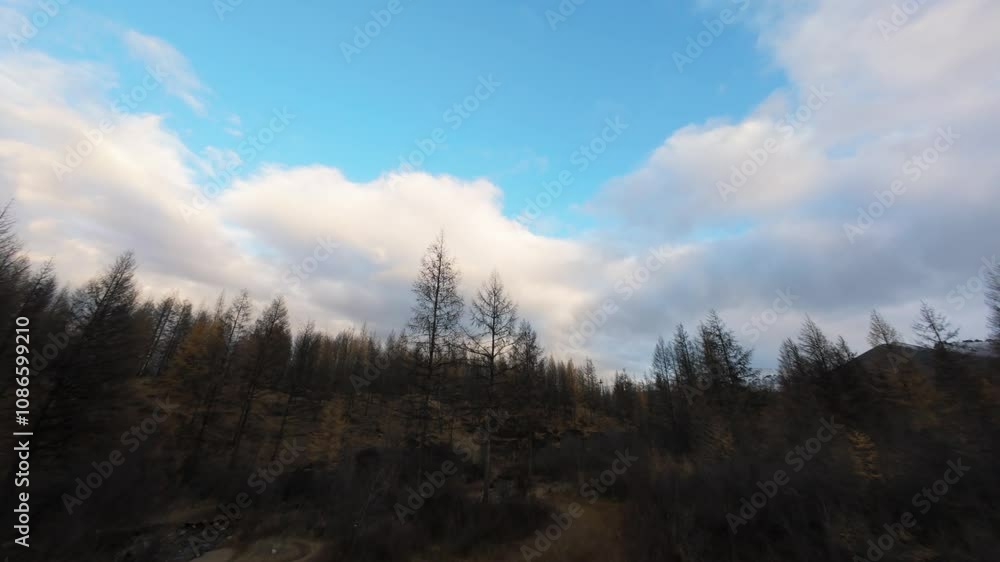 Discover the magnificent landscapes of Yakutia from above. Witness the serene beauty of untouched nature, towering trees, and expansive skies in this tranquil setting. Discover the magnificent landscapes of Yakutia from above. Witness the serene beauty of untouched nature, towering trees, and expansive skies in this tranquil setting.