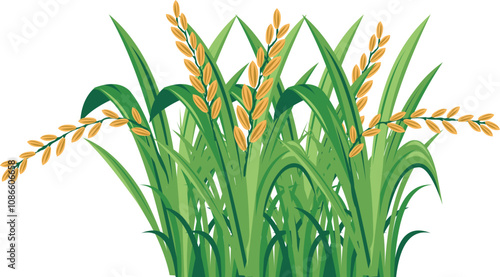 Fertile Rice Crop Farming
