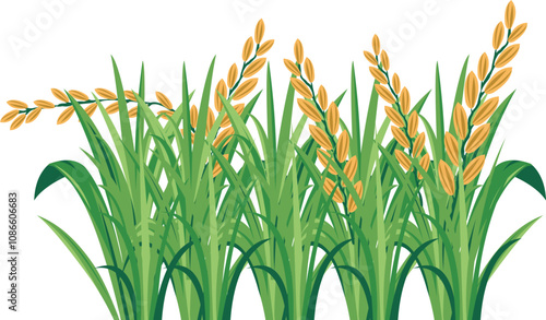 Fertile Rice Crop Farming
