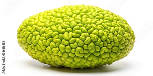 Fresh Osage orange fruit, isolated for food photography. photo