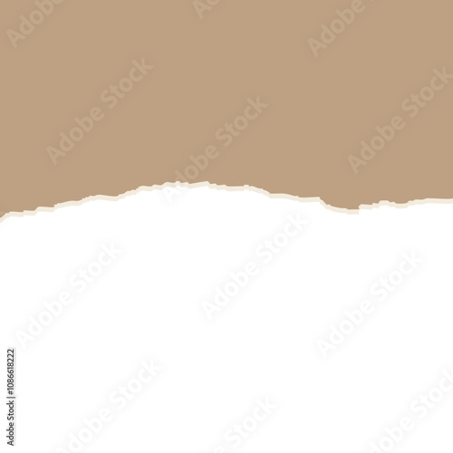 torn paper vector illustration