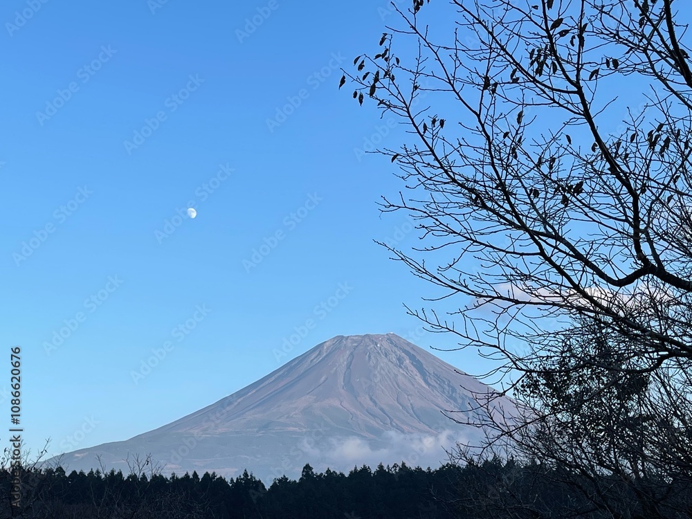 Obraz premium The trees leaves on the mountains were starting to change color. 