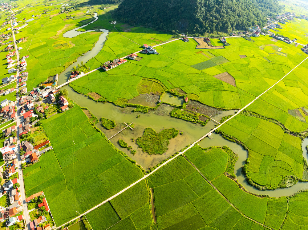 Fototapeta premium Amazing landscape nature view Rice fields and mountains in Bac Son valley, Lang Son,Northern Vietnam, Seen from above, High angle view